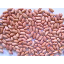 New Crop High Quality Peanut Kernel 34/38